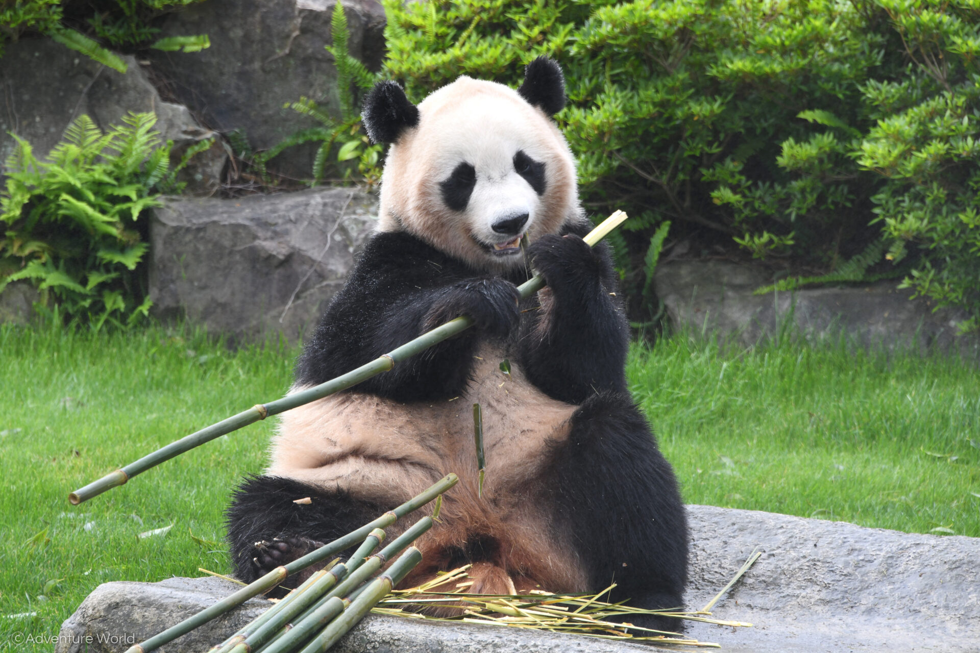 39c323557e91746afb3016412c9e28