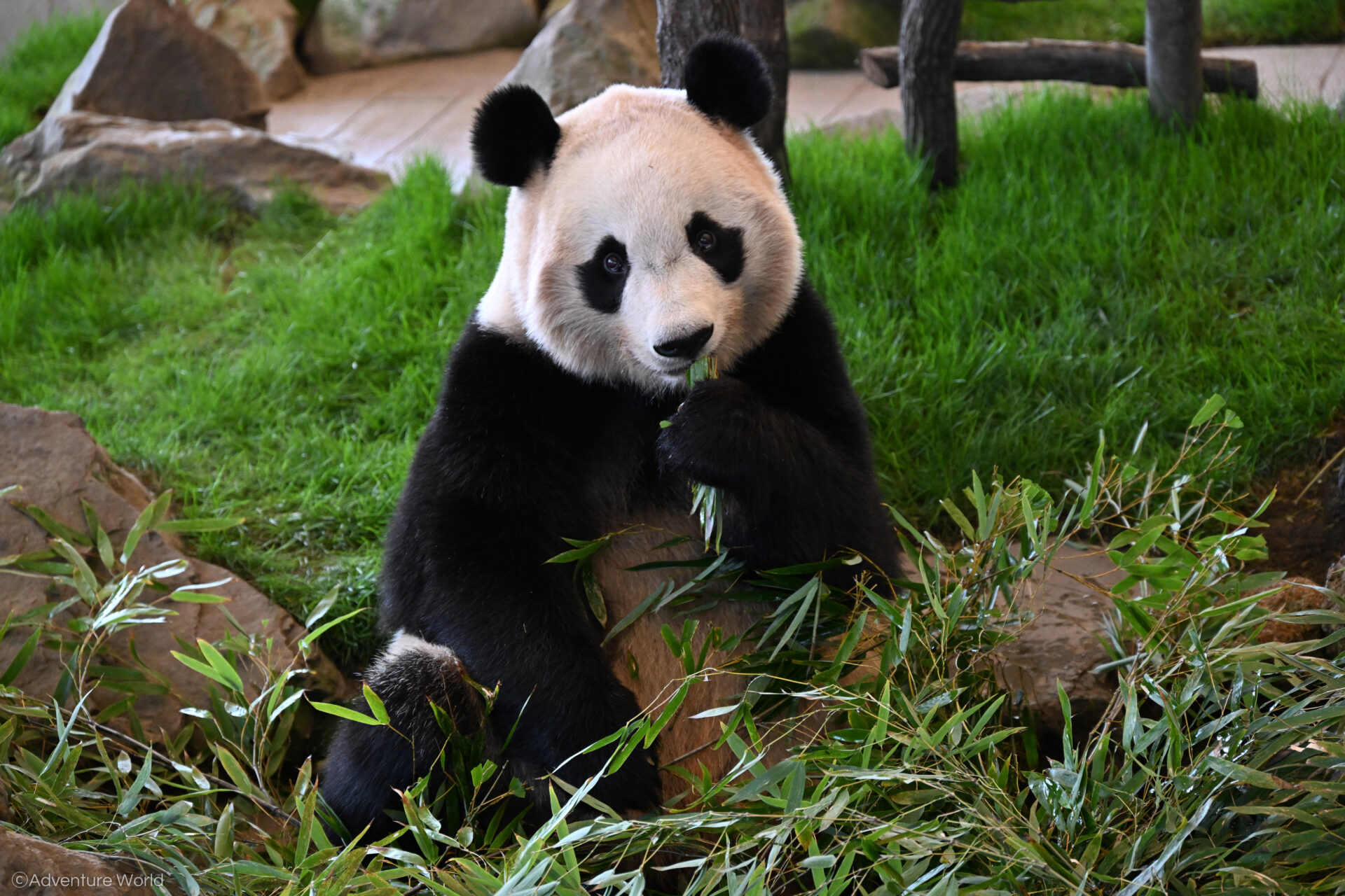 9202810aaf8880a41fd11dc8dbf74a