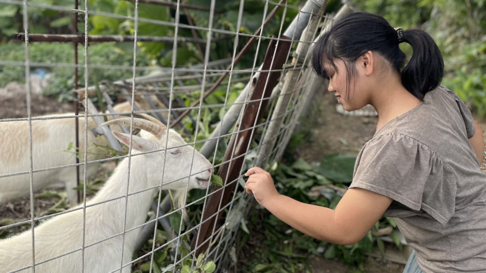 フリーランスからチームランスへ──。いつか「いろんな人が支い合える場」を作りたい