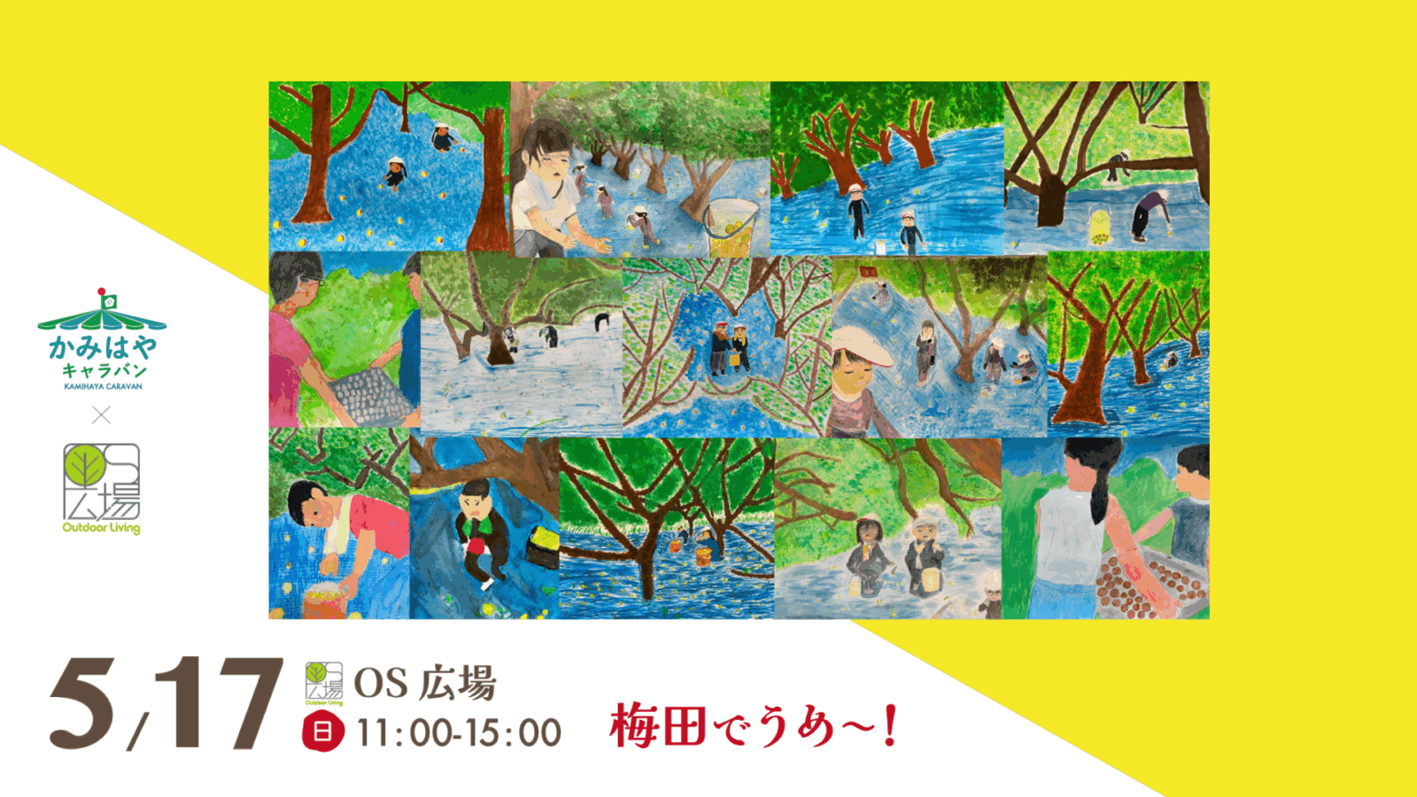 小学生が描く「梅干しができるまで」